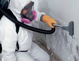 Best Basement Mold Removal  in Tyrone, PA